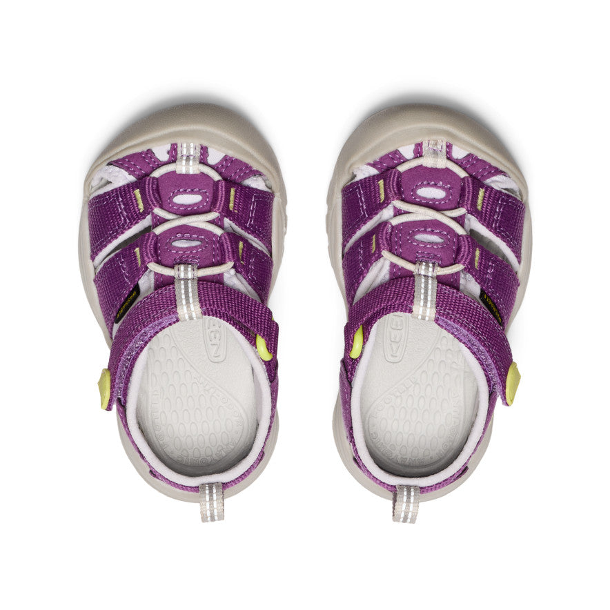 Keen Toddlers' Newport H2 | Charisma/Daiquiri Green