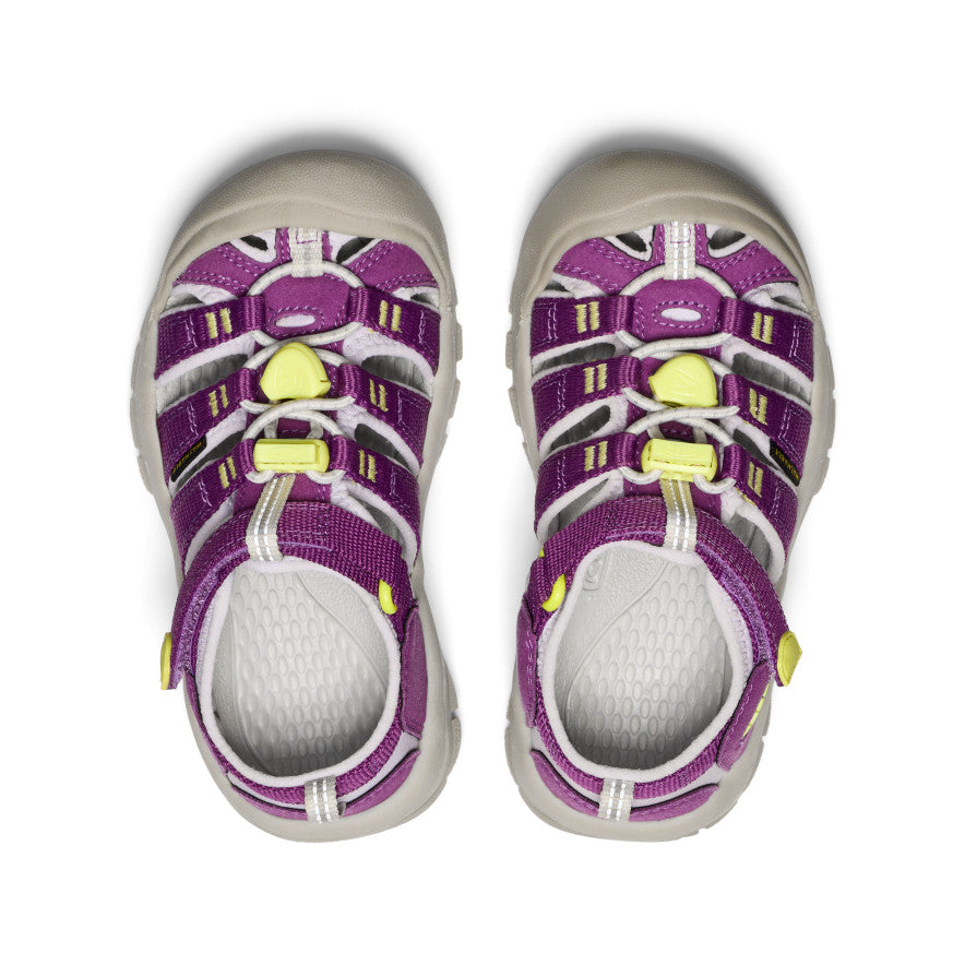 Keen Little Kids' Newport H2 | Charisma/Daiquiri Green